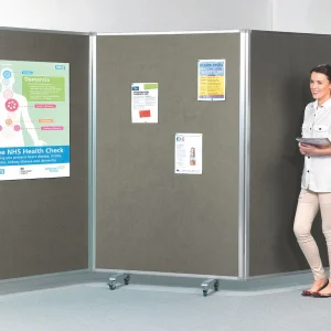 Mobile Tri Screen