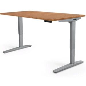 Premium Electric Height Adjustable Desk